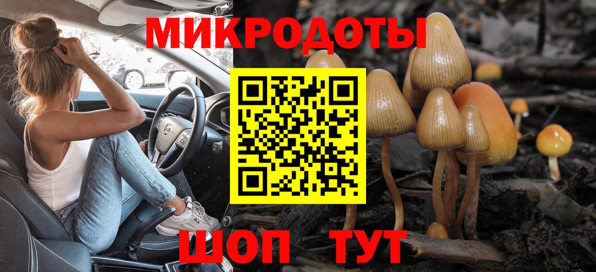 Псилоцибиновые грибы Cubensis  Псилоцибиновые грибы прущие грибы  Вход с VPN  Новочебоксарск 