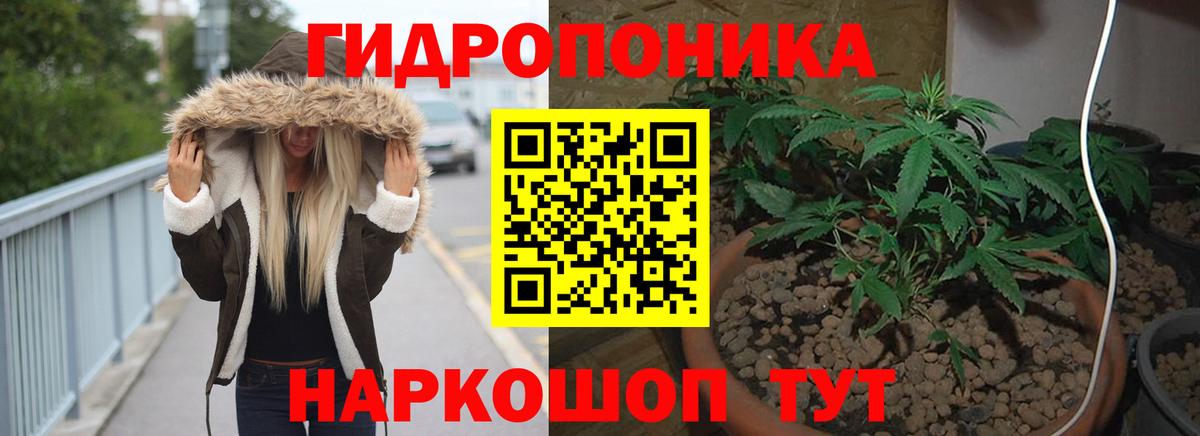 МАРИХУАНА семена Новочебоксарск